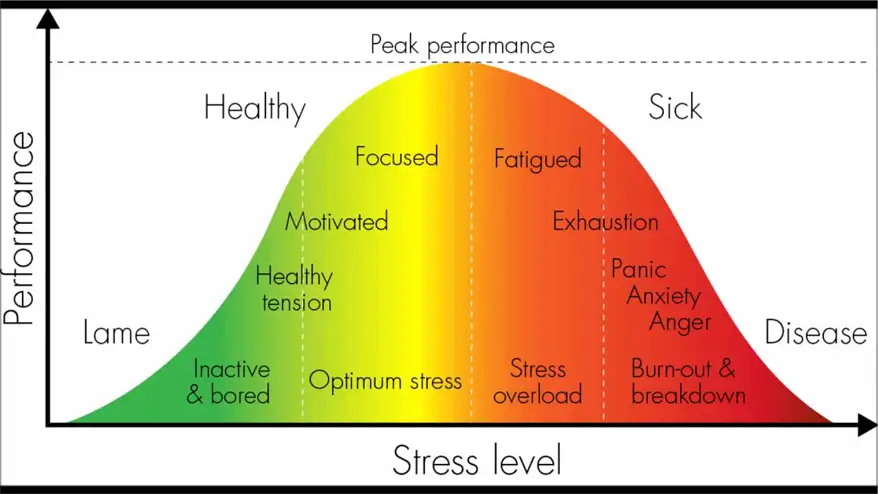 Manage Stress Levels