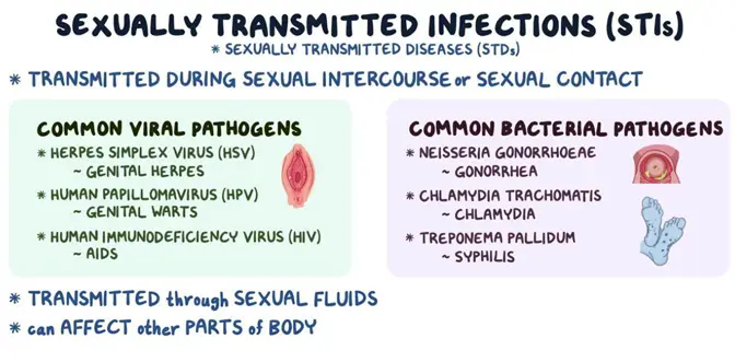 Sexually Transmitted Infections (STIs)